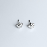 Brinco Pedra de Luz [Prata 925]